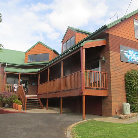 High On Penguin Bed & Breakfast Exterior foto